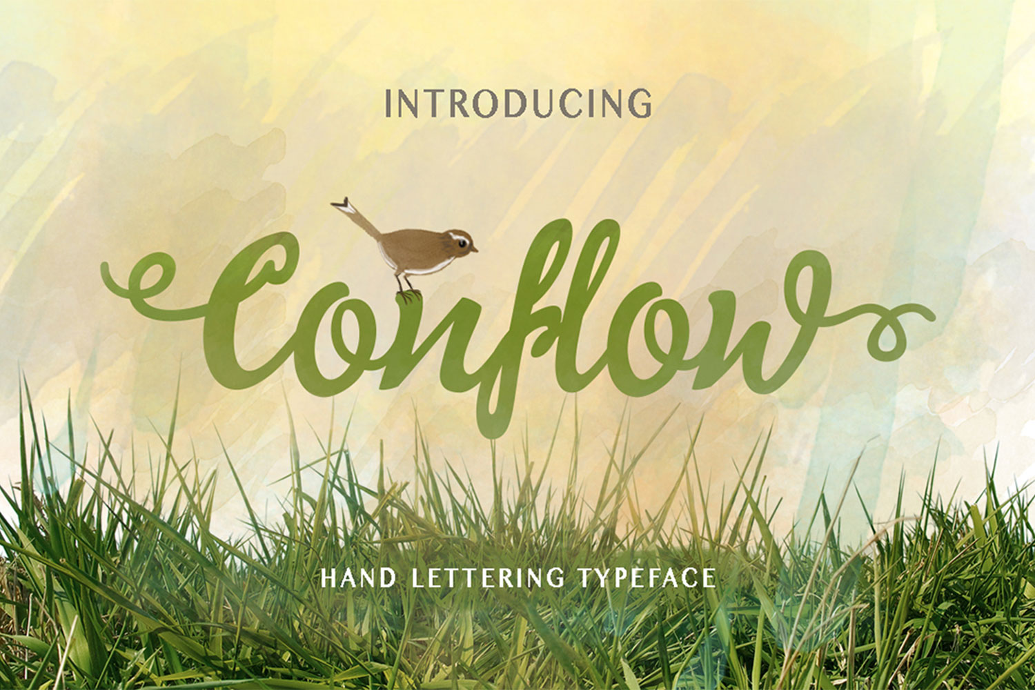 Conflow Typeface Font