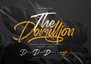 Domillion Brush Font Free