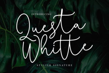 Free Questa Whitte Signature Font