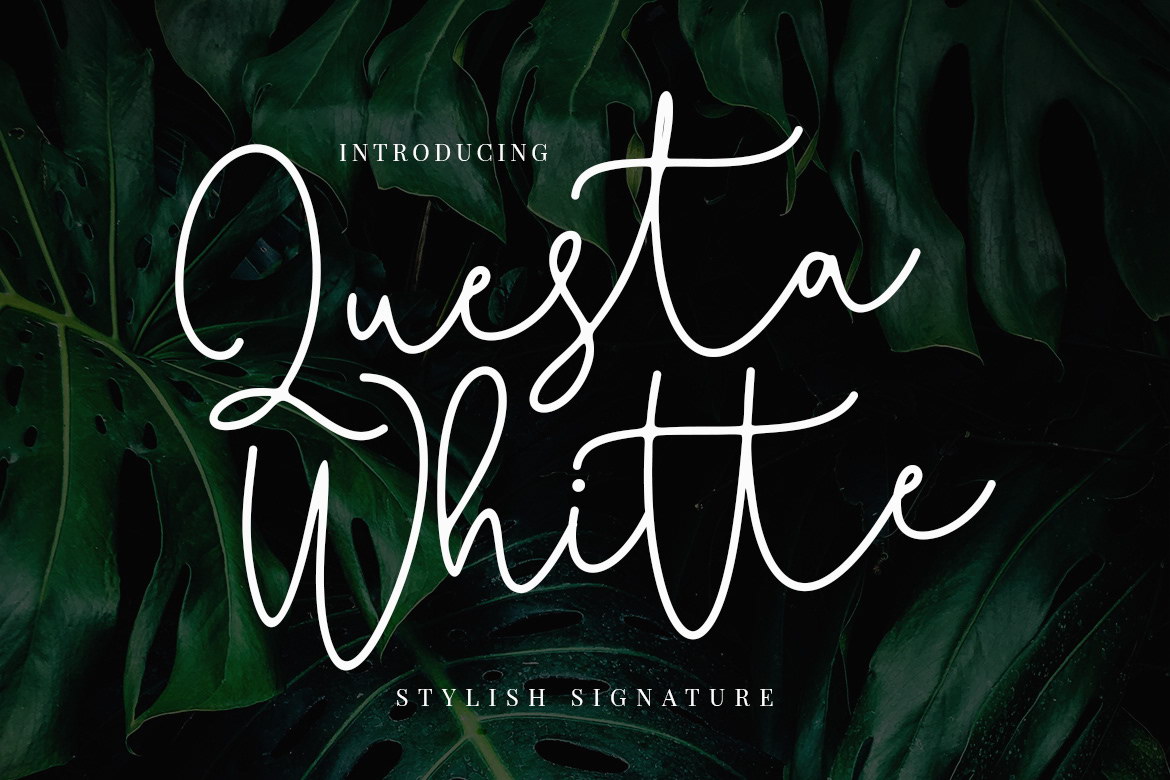 Free Questa Whitte Signature Font