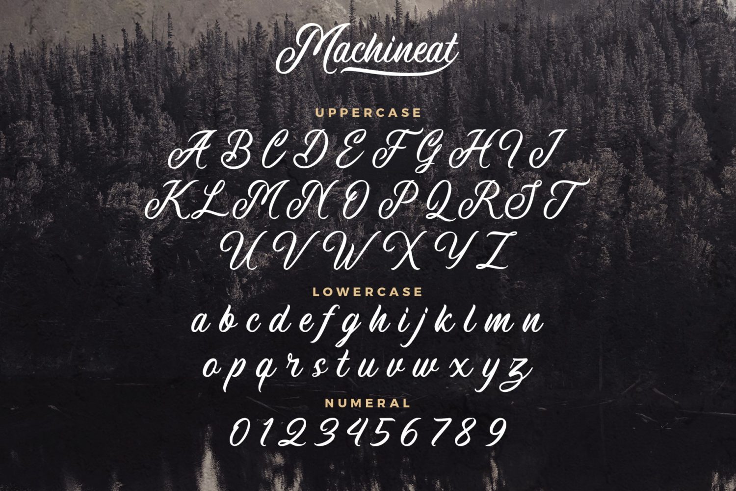 Machineat Font Demo