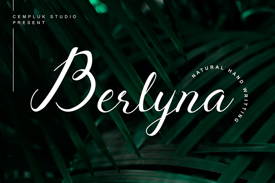 Berlyna Script Font Demo