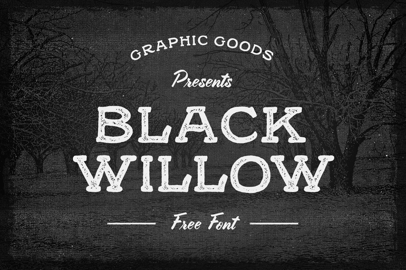 Black Willow Free Font