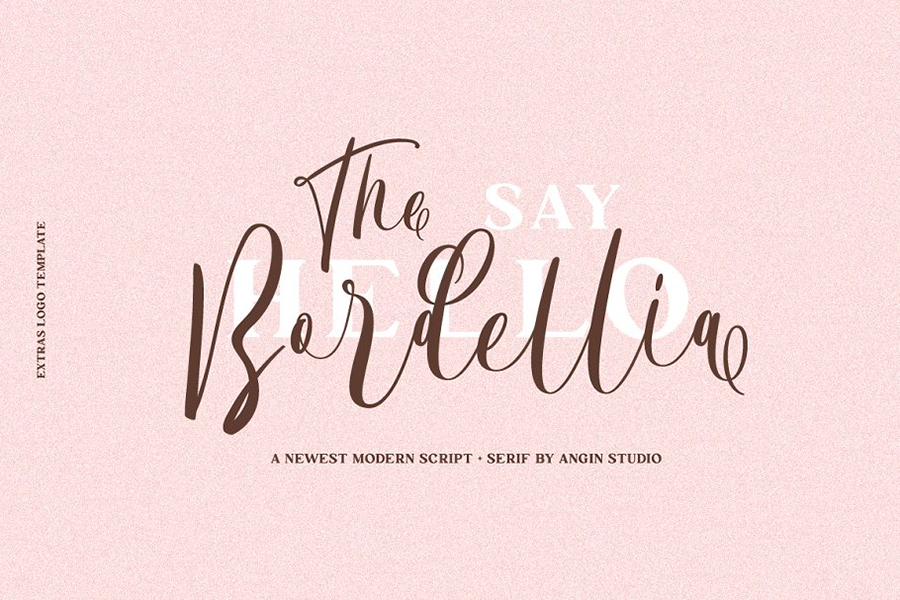 Bordellia Script Lettering Font