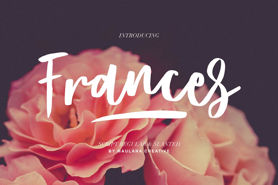Frances Modern Script Font