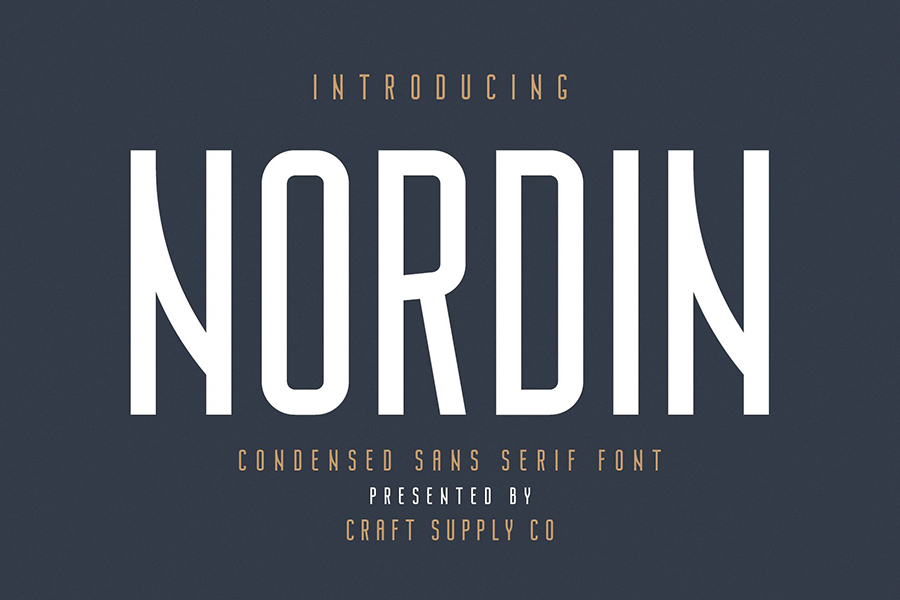Nordin Sans Serif Free Demo