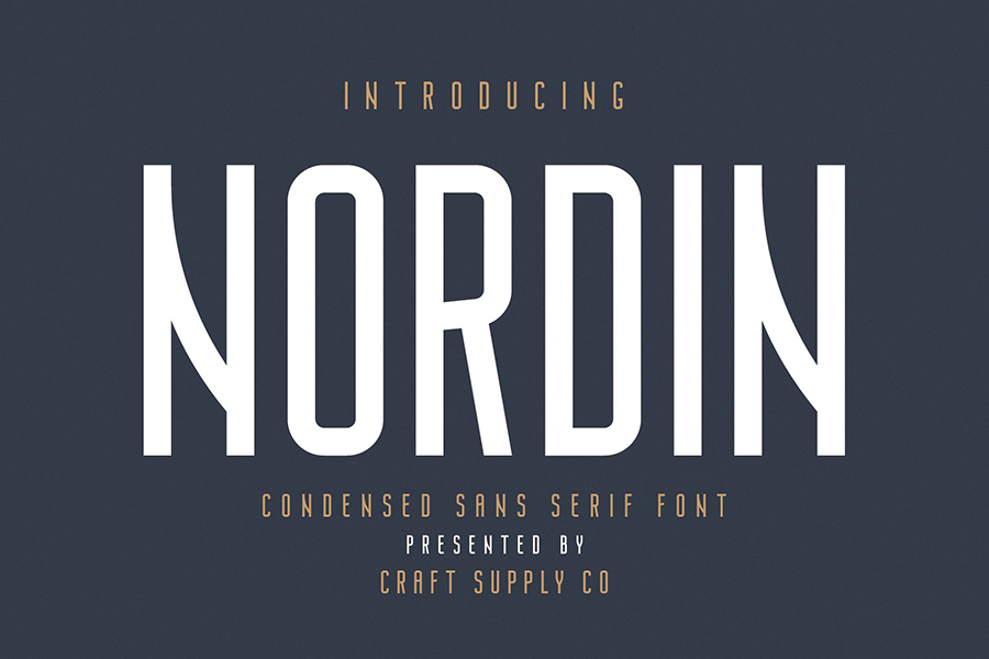 Nordin Sans Serif Free Demo
