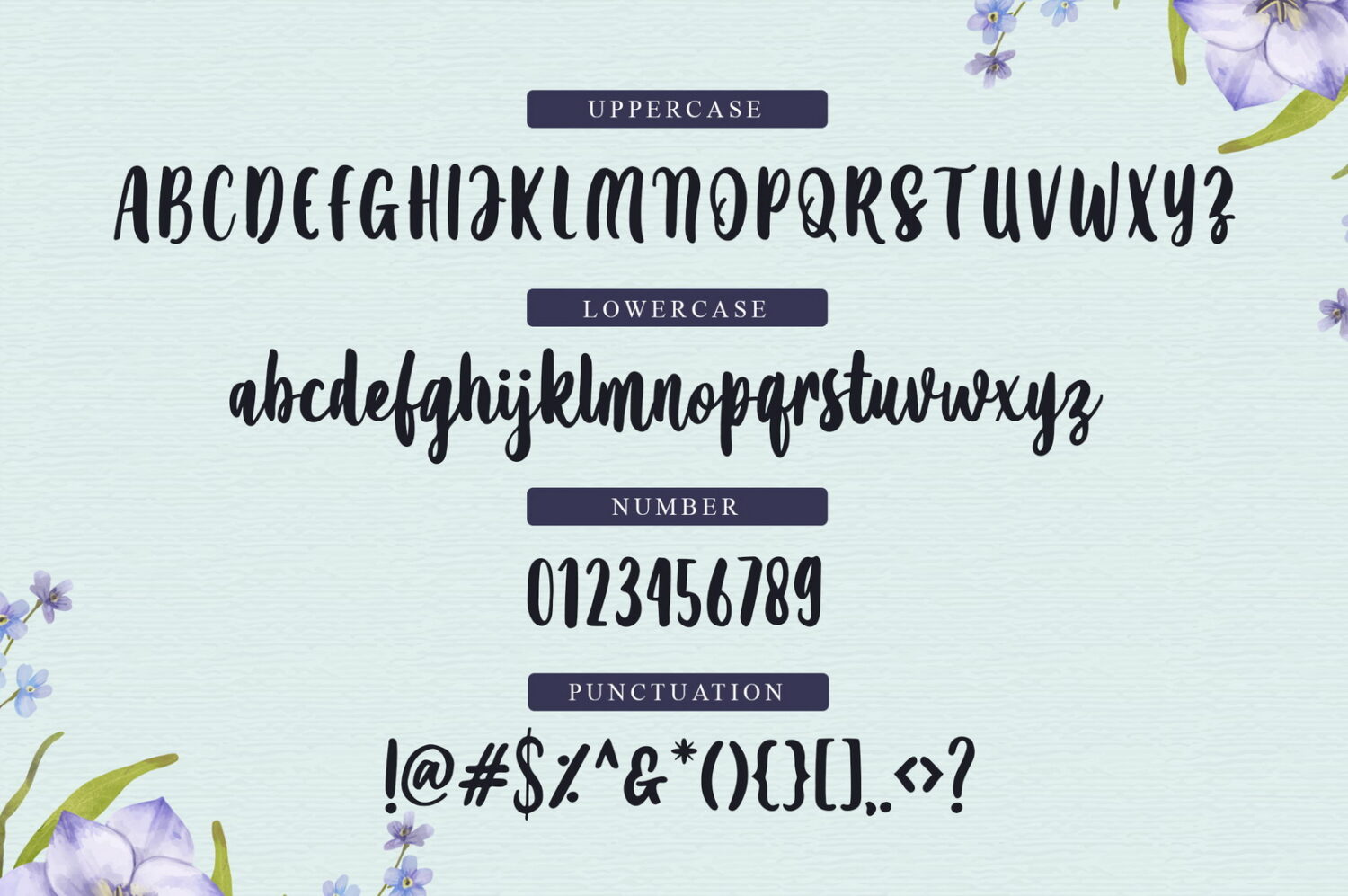 Amanise Script Font Demo