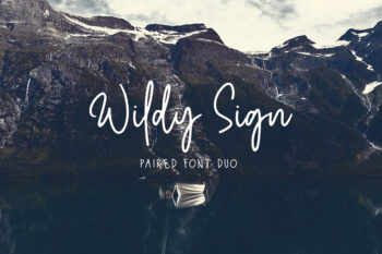 wildy-sign