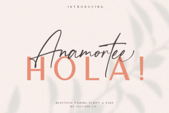 Anamortee Modern Calligraphy Font