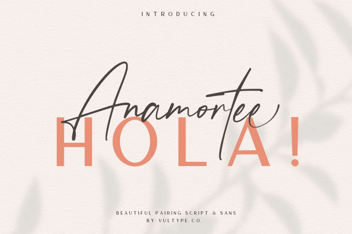 Anamortee Modern Calligraphy Font