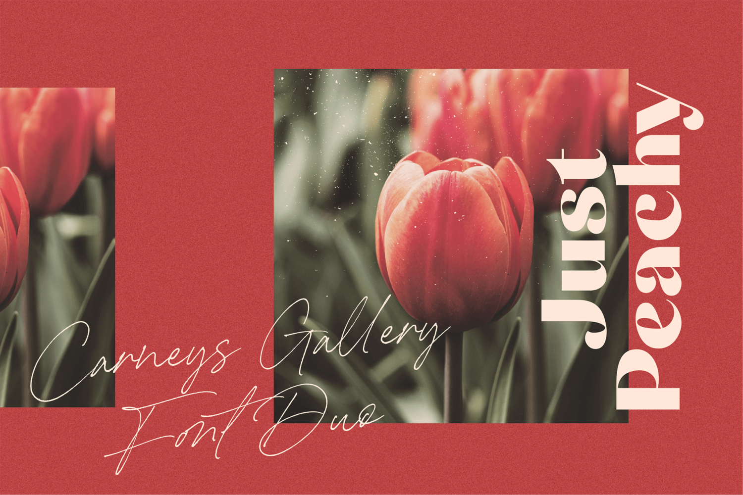 Free Carneys Gallery Font Duo