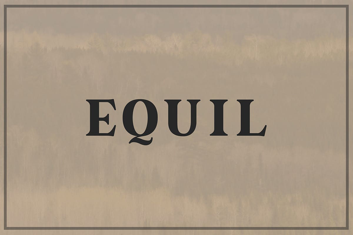 Free Demo Equil Serif Font
