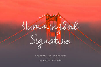 Humming Bird Script Font