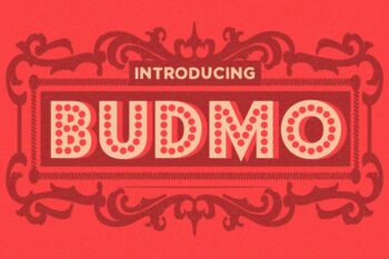 Budmo