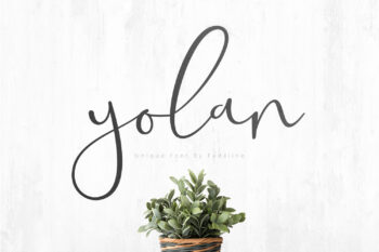 Yolan Unique Font