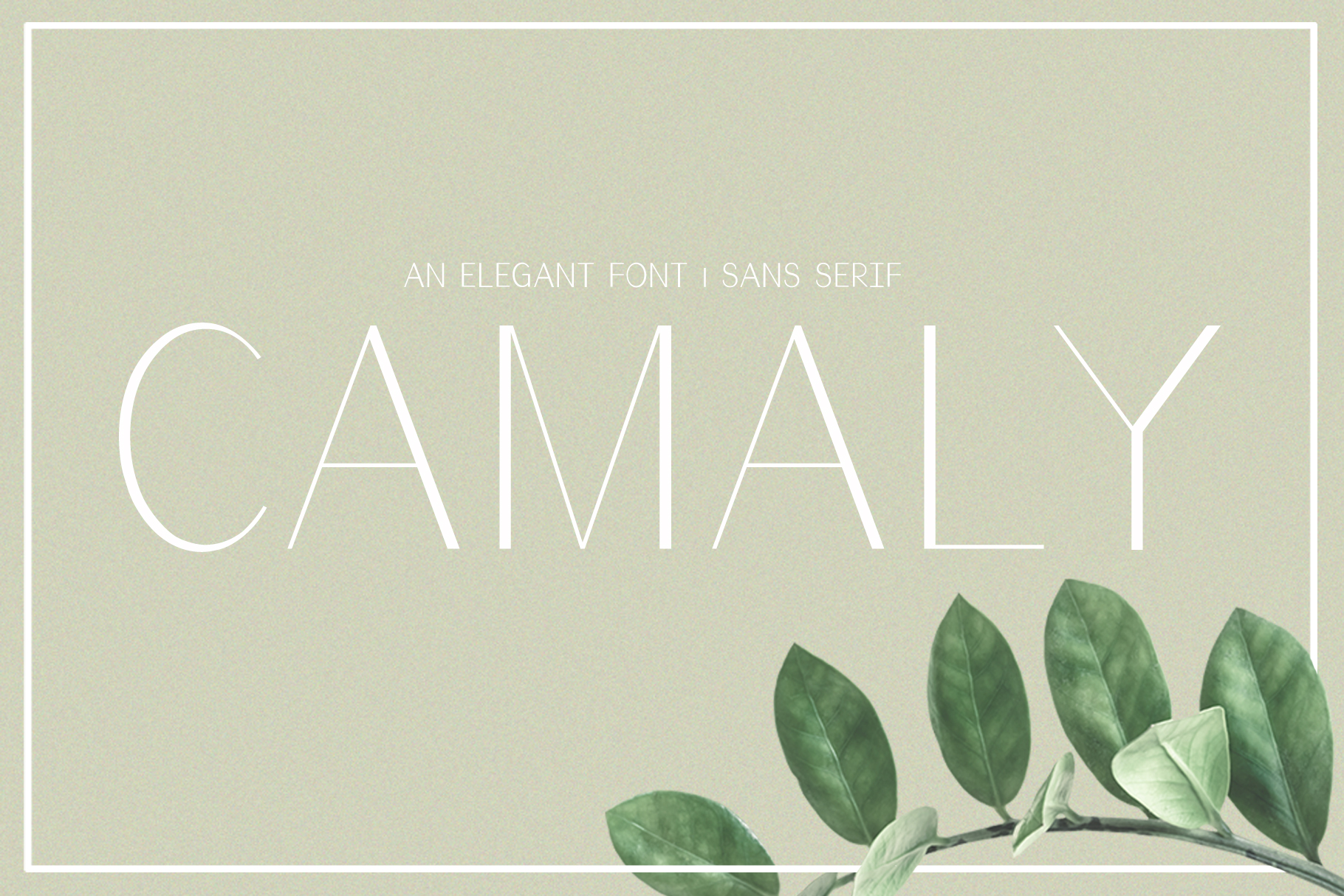 Camaly Free Font