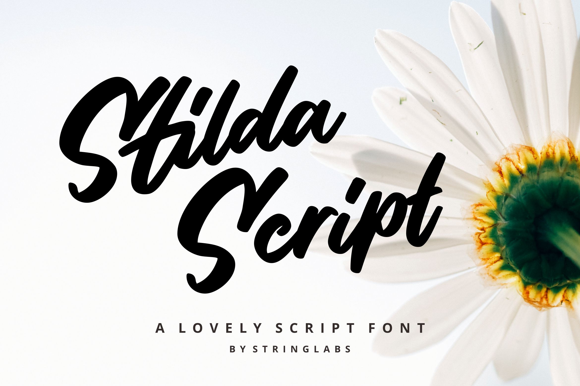 Stilda Free Font Free Font