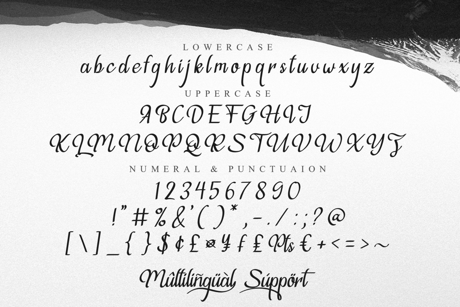 Violleva Free Font