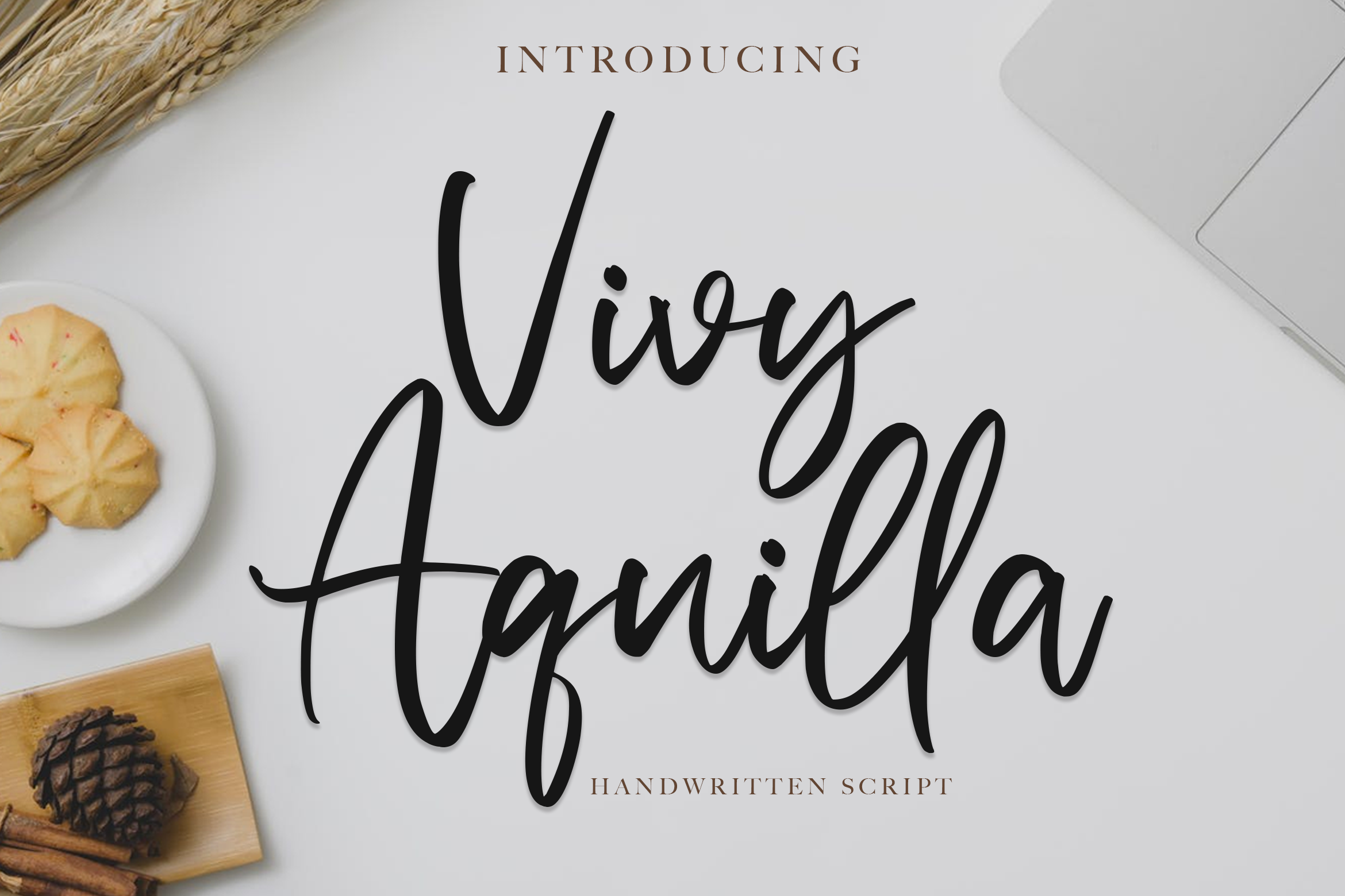 Vivy Aquilla Free Font