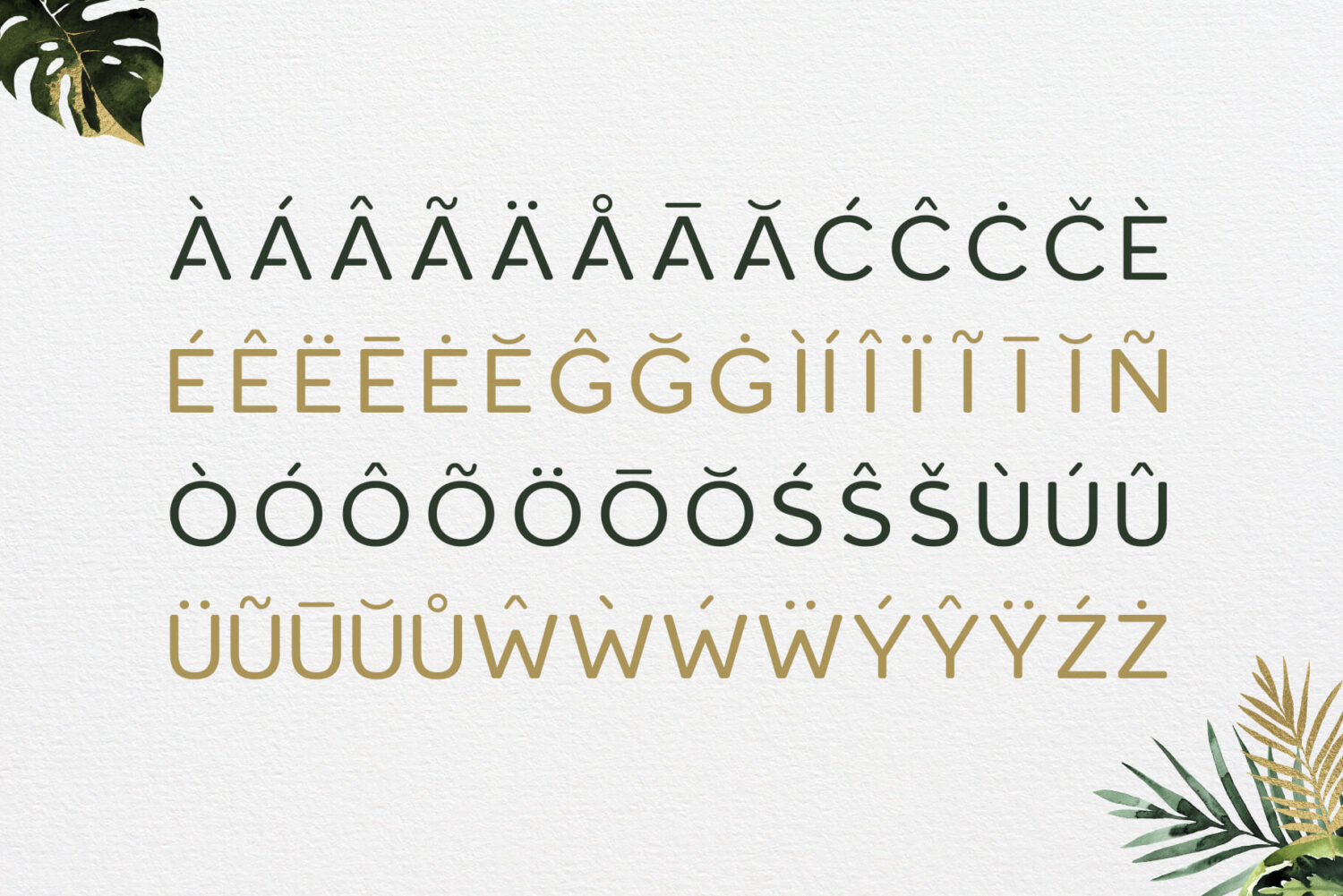 Roundor Free Font Family