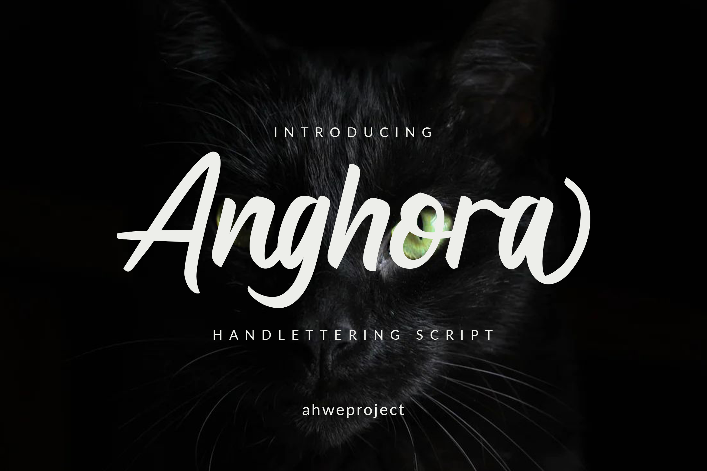 Anghora Free Font