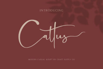 Cattus Free Font