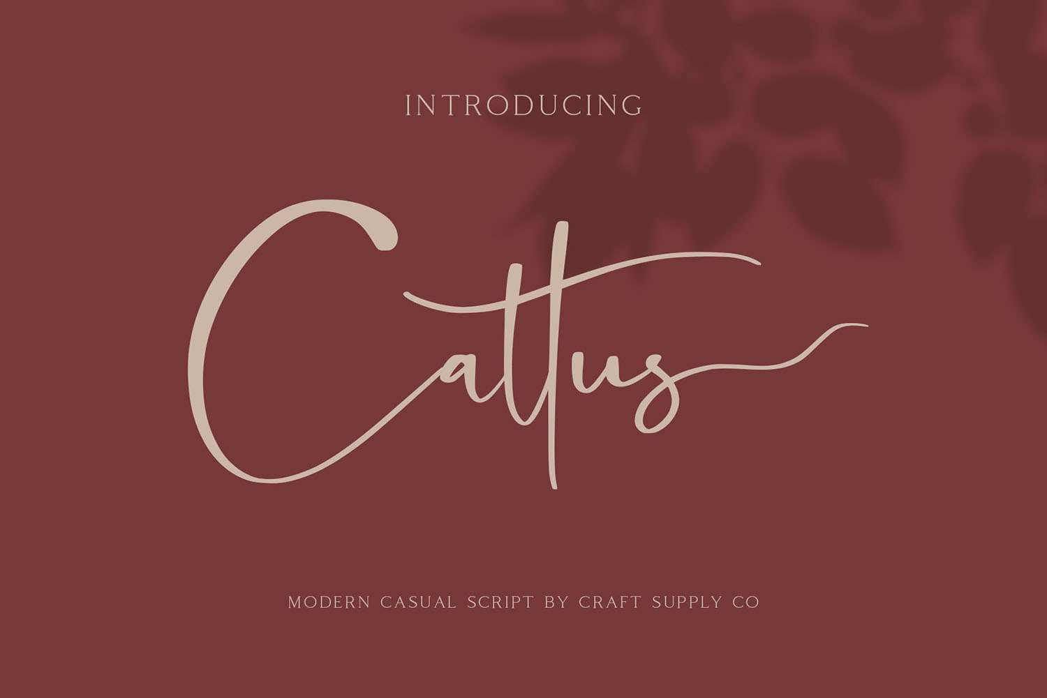 Cattus Free Font