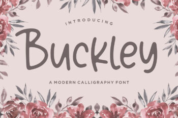 Buckley Modern Free Font