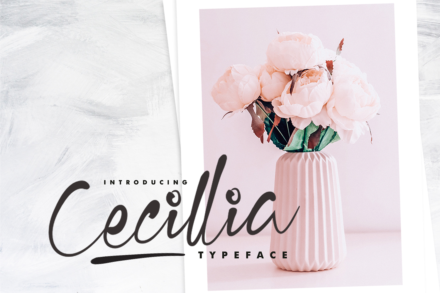 Cecillia Free Font