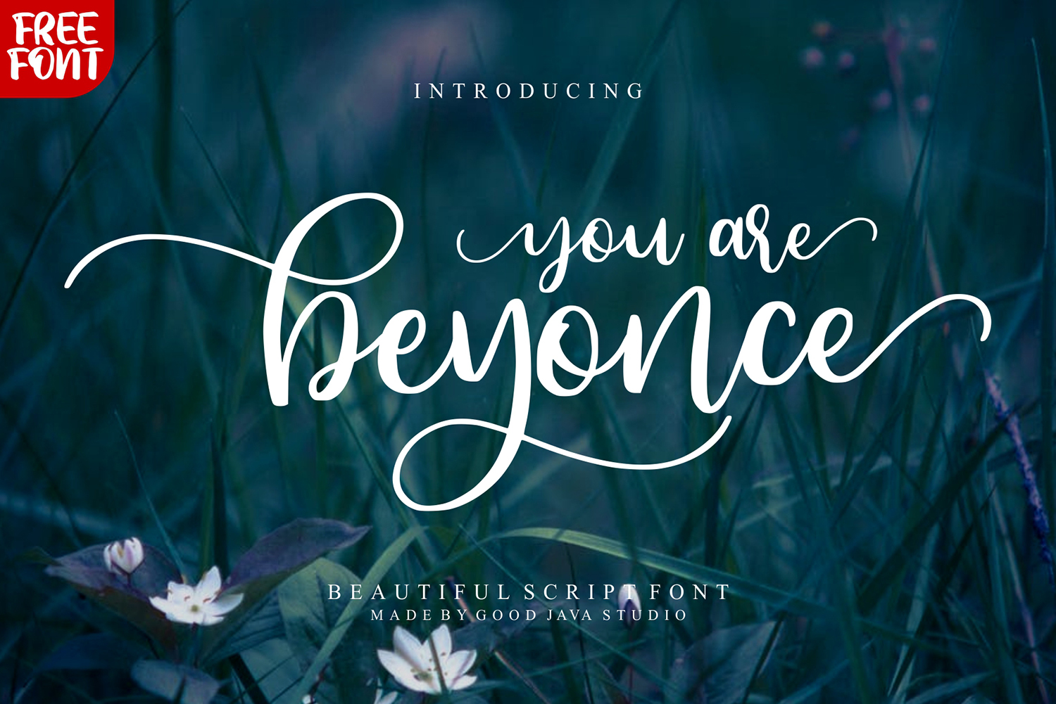 Beyonce Free Font