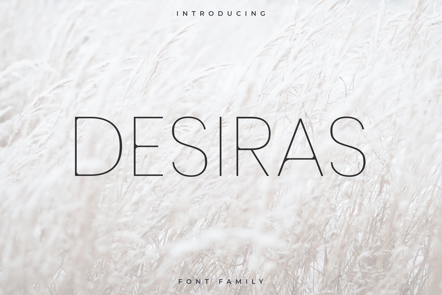 Desiras Free Font