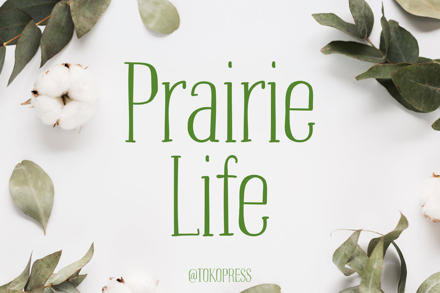 Prairie Life Free Font