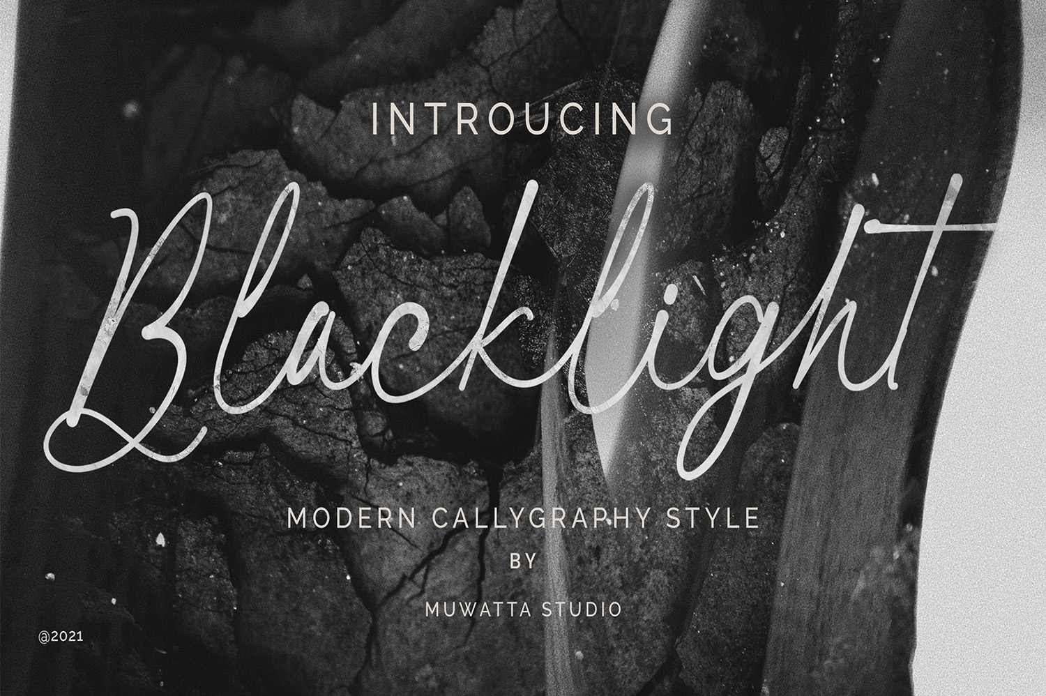 Blacklight Signature Free Font