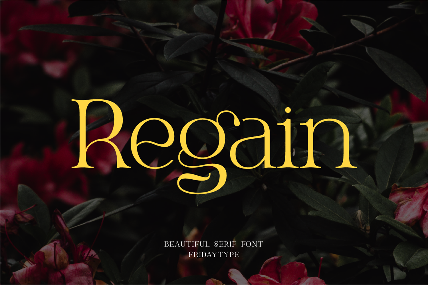 Regain Free Font