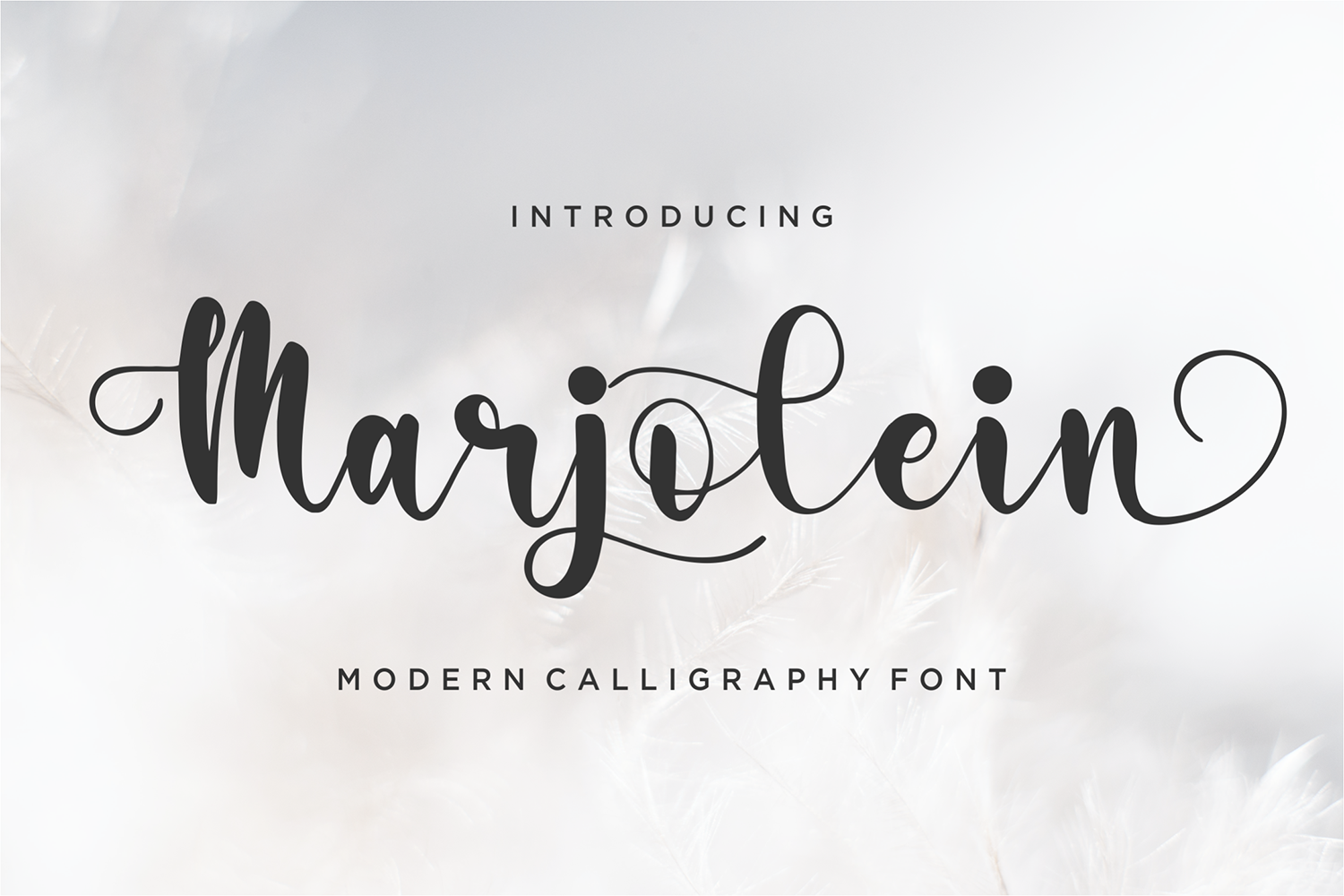 Marjolein Free Font