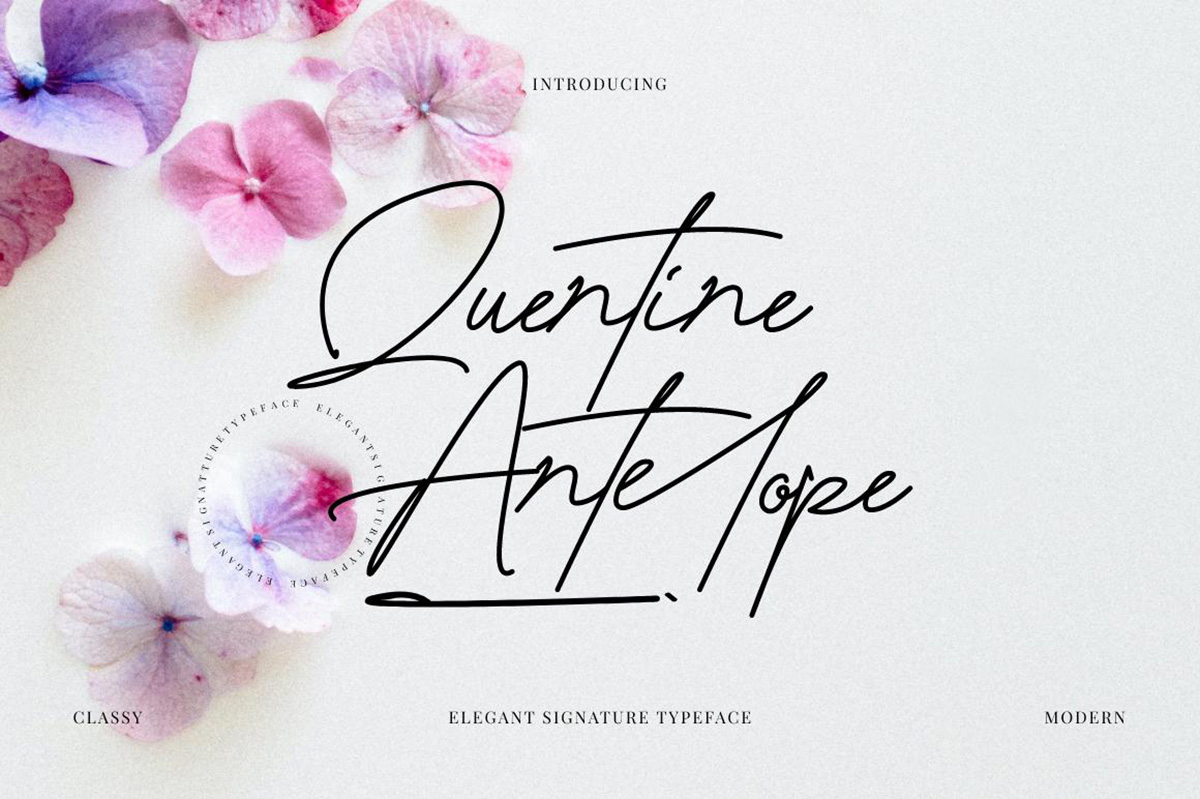 Quentine Antelope Free Font