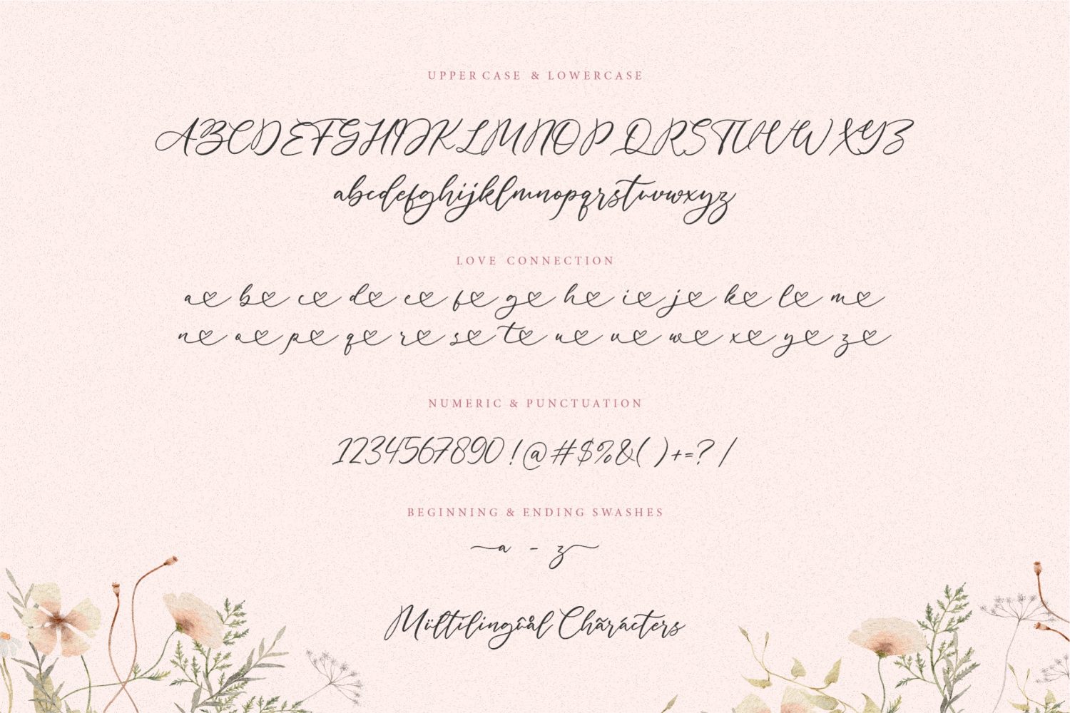 Love Seed Free Font