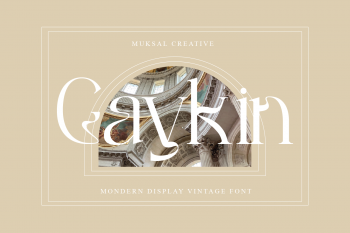 Gaykin Free Font