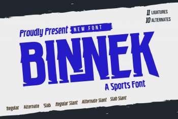 Binnek Free Font