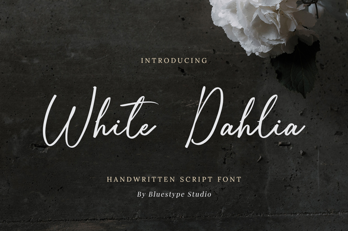 White Dahlia Free Font