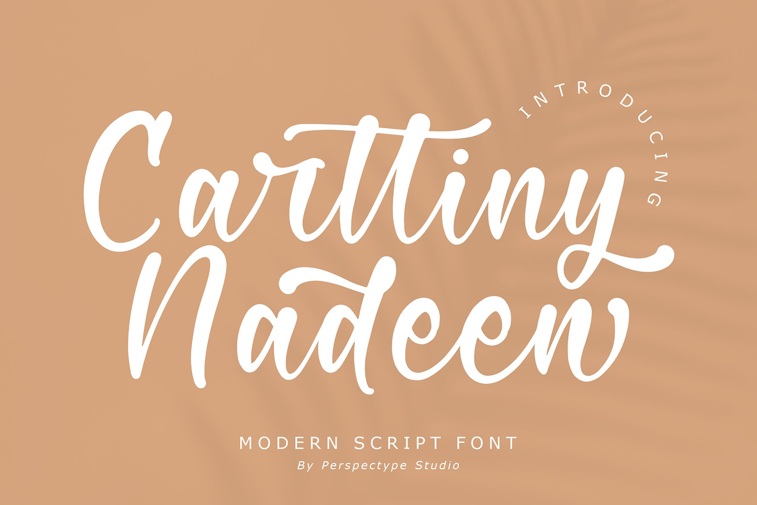 Carttiny Nadeen Free Font