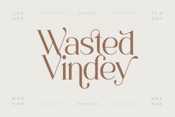 Wasted Vindey Free Font