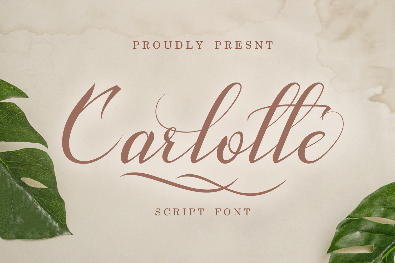 Carlotte Free Font